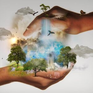 Les rendez-vous du Comité