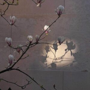 Las charlas del Comité