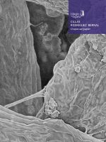 Crayon sur papier – Grafito sobre papel / Cillas Rodríguez Bernal Crayon sur papier - Grafito sobre papel / Cillas Rodríguez Bernal