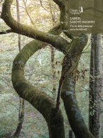T’es-tu déjà promené entre les hêtres ? – ¿Has paseado alguna vez entre hayas? / Gabriel Sanchis Navarro T’es-tu déjà promené entre les hêtres ? - ¿Has paseado alguna vez entre hayas? / Gabriel Sanchis Navarro