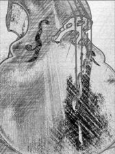 Concert