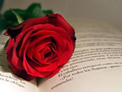 Journée internationale du livre