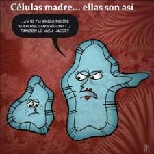 Las charlas del comité